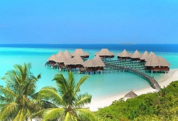 maldiv00009