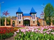 Парк тюльпанов дендропарк в Крапивницком