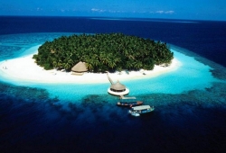 maldiv00028