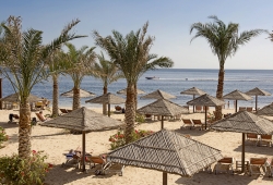 miramar_al_aqah_beach_resort_3