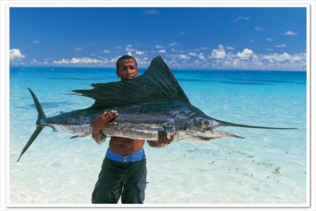 Глубоководная рыбалка Маврикий
