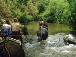 Поездка на слонах Таиланд
