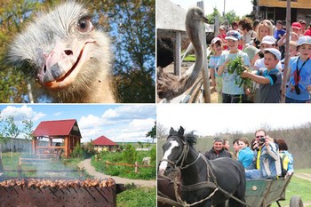 Кременевский страус поездка с туристической компании Apis Travel в Одессе 